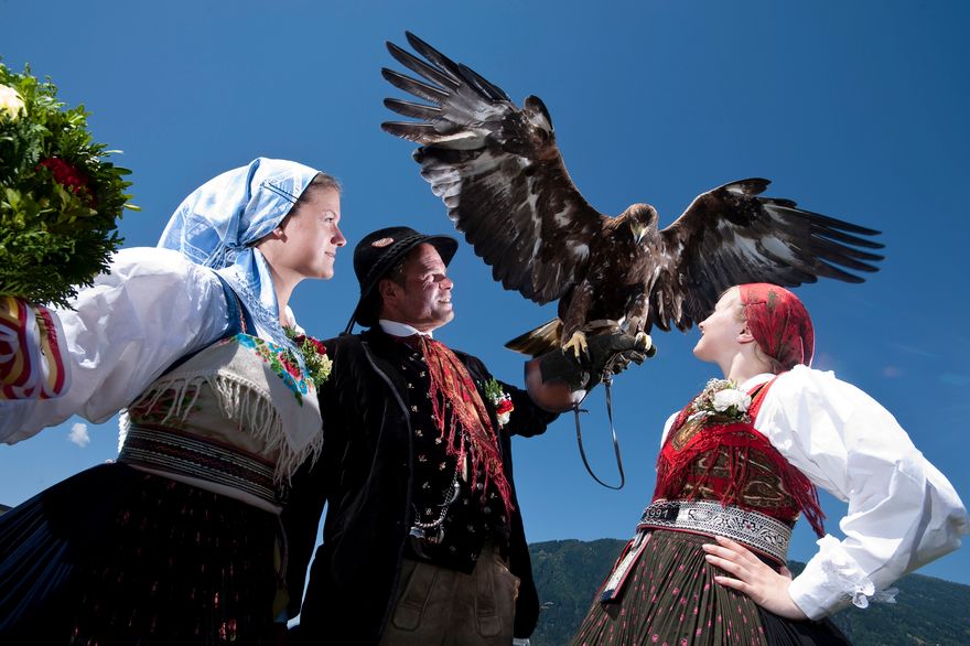 Vlakbij kunt u genieten van een vogelshow bij burcht Landskron