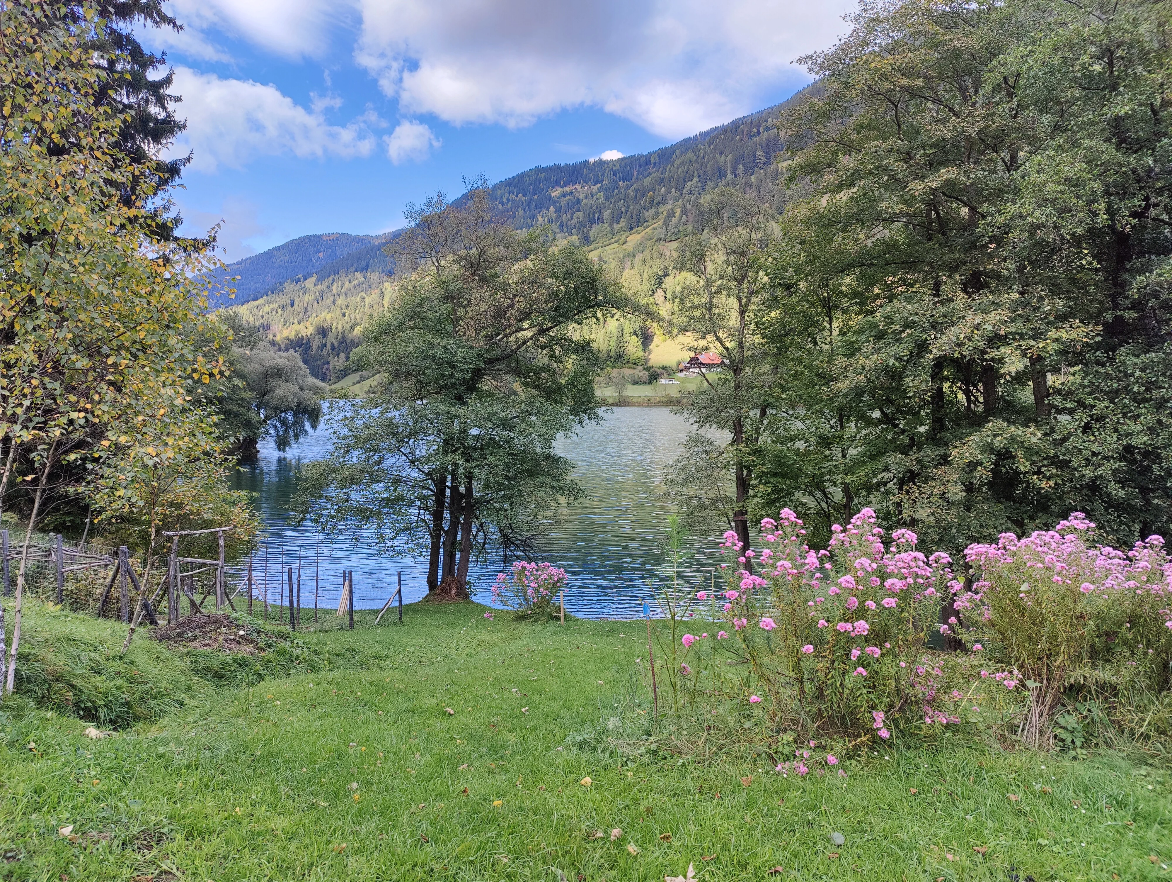 Pension Almhof