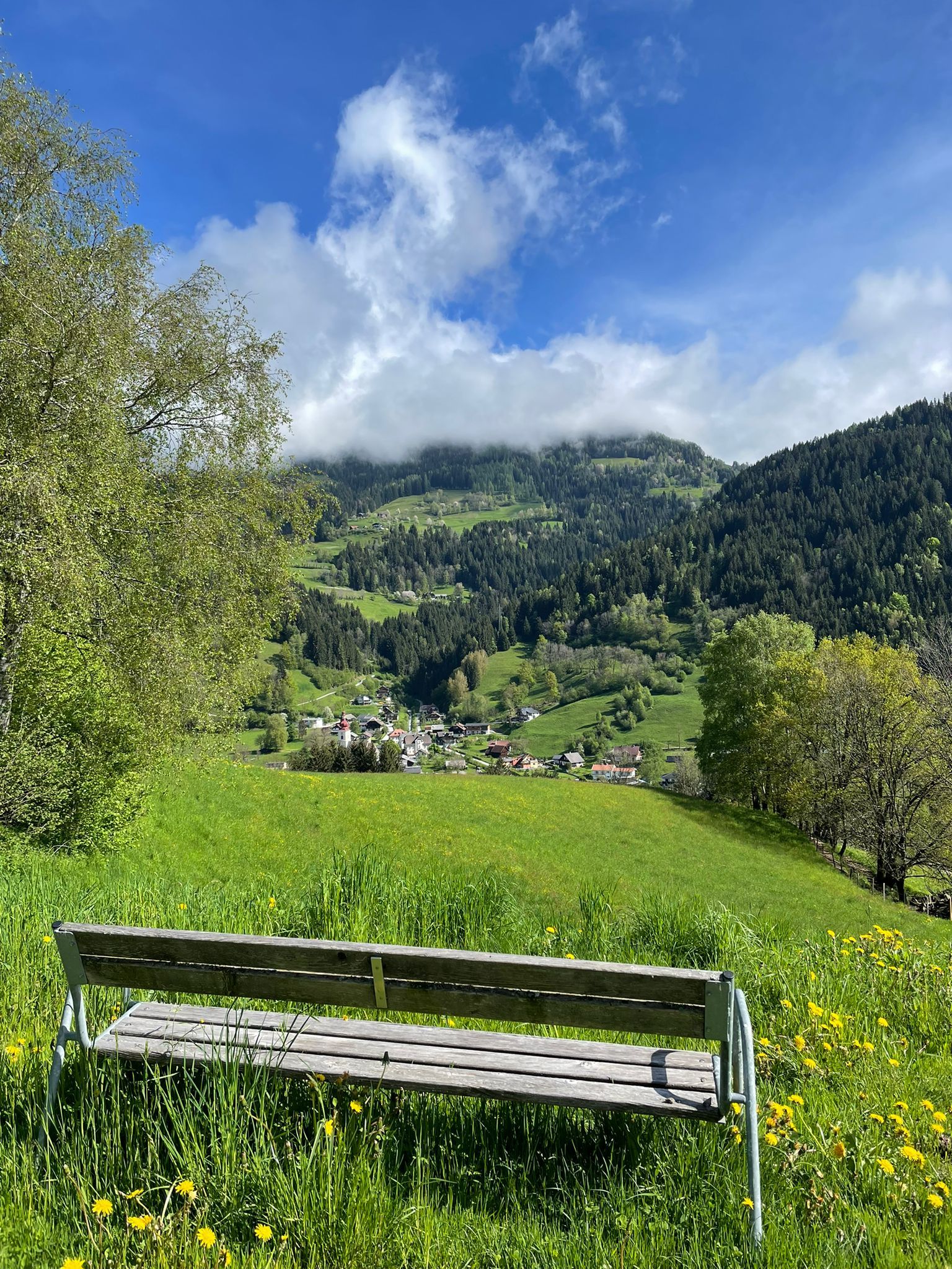 A lovely bench with beautiful views less than 100 meters from the guest house