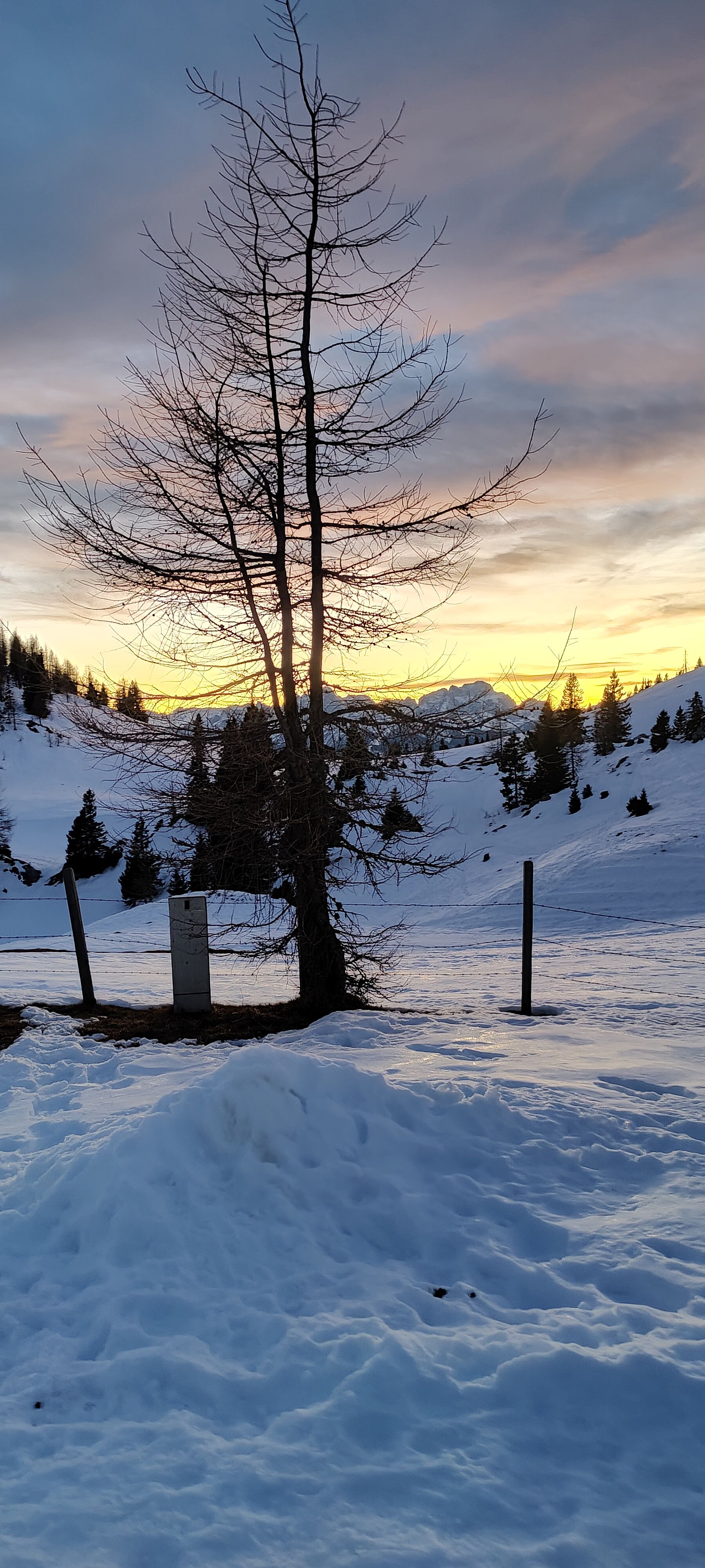 Der Naturpark ist immer schön, aber wenn er mit Schnee bedeckt ist, ist er ein wahres Winterwunderland.